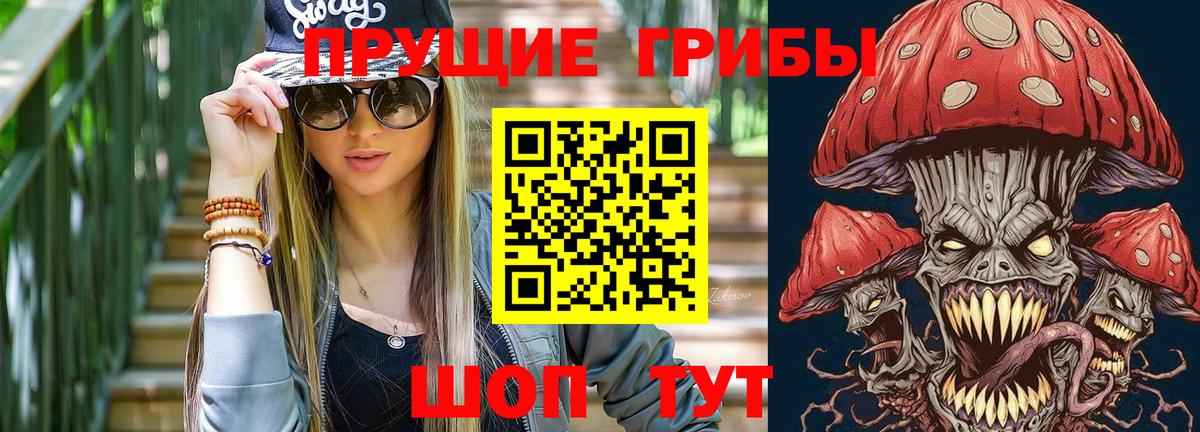 Псилоцибиновые грибы мицелий Куйбышев
